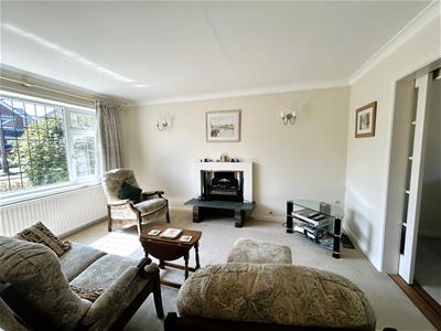 Picture 5